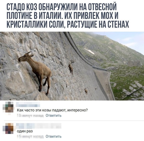 Смешные картинки с надписями