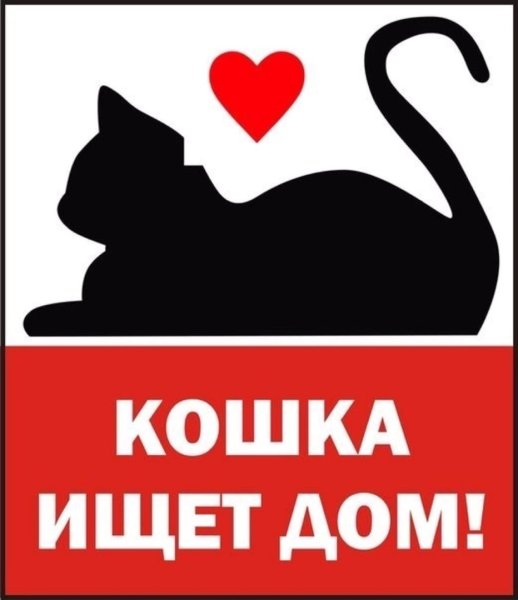 Кошке нужен дом