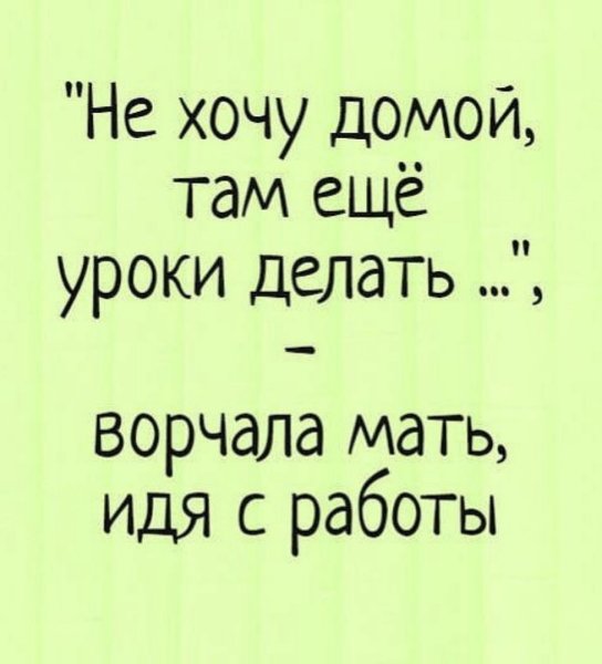Смешные цитаты про школу