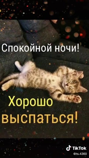 Спокойной ночи прикольные