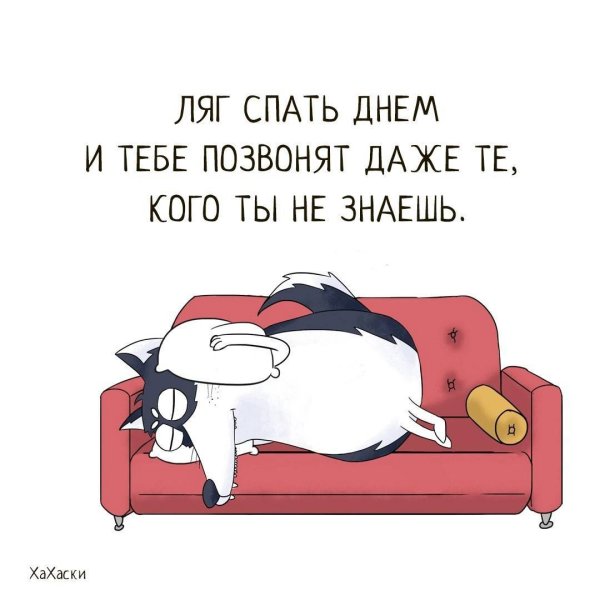 Смешные фразы про сон