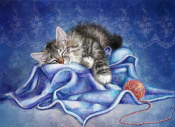 Доброй ночи котики