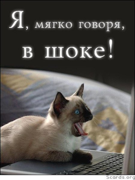 Открытки с надписью я в шоке