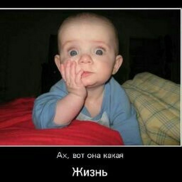 Я В шоке картинки прикольные