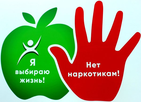 Профилактика наркомании