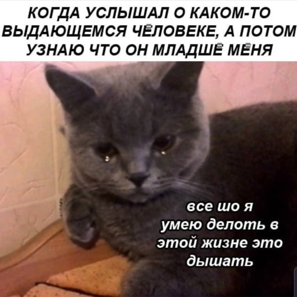 Шаблон для мема