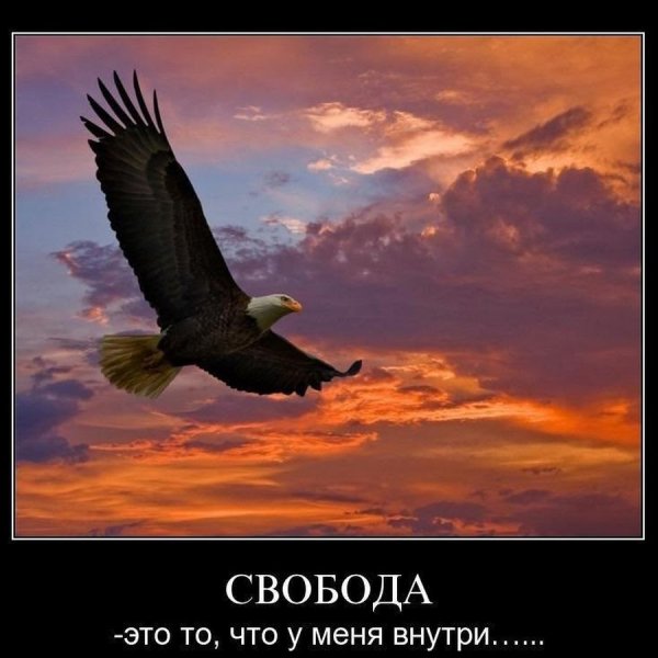 Свобода картинки прикольные
