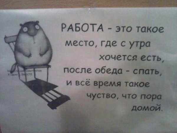 Смешные стихи про работу