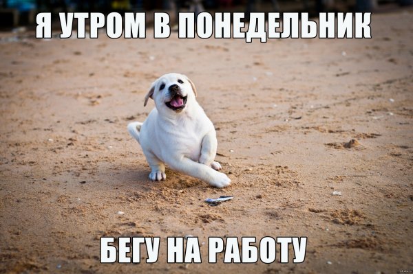 Бегу на работу прикольные