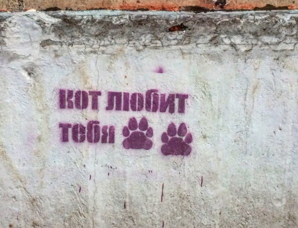 Надпись на стене я тебя люблю