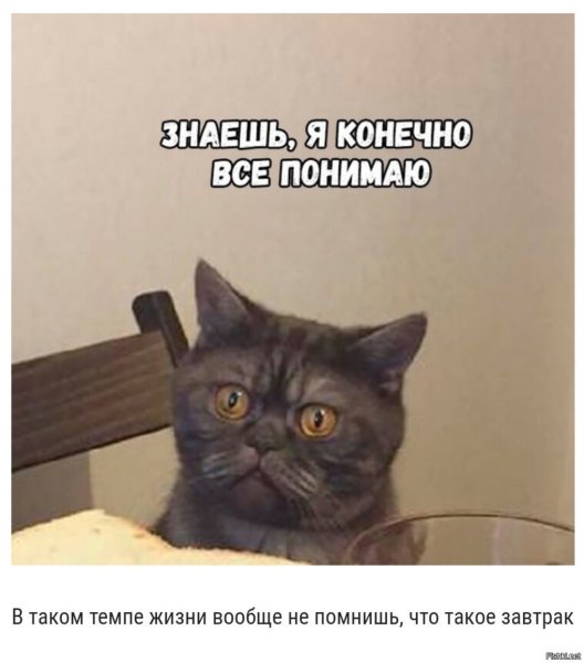 Фрай Футурама подозрительно