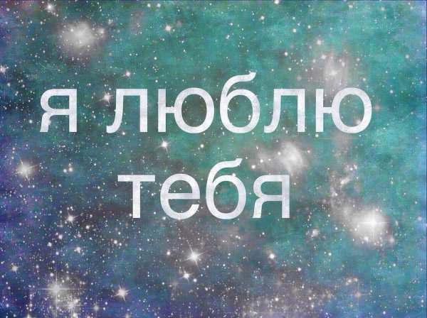 Кошки и собаки юмор