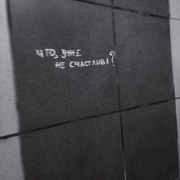 Рыжий кот с деньгами