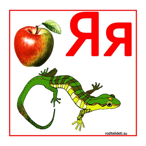 Буквы для детей карточки