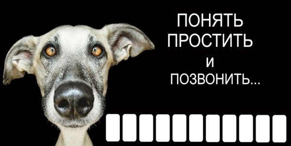 Табличка с номером телефона