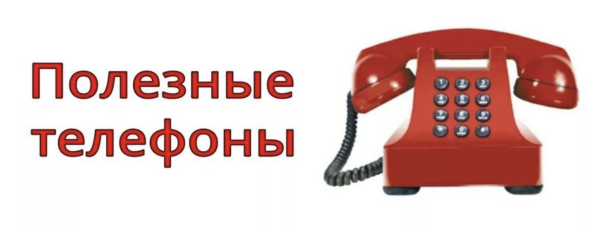 Важные номера телефонов