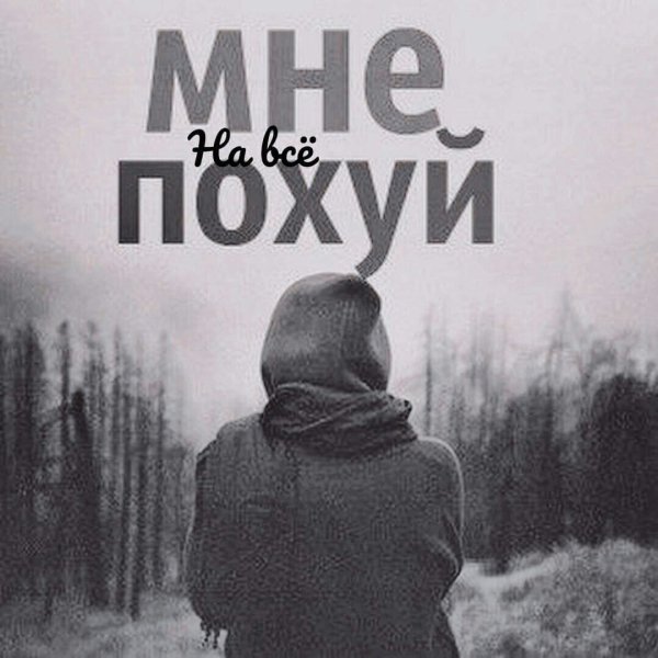 Картинки мне все похуй