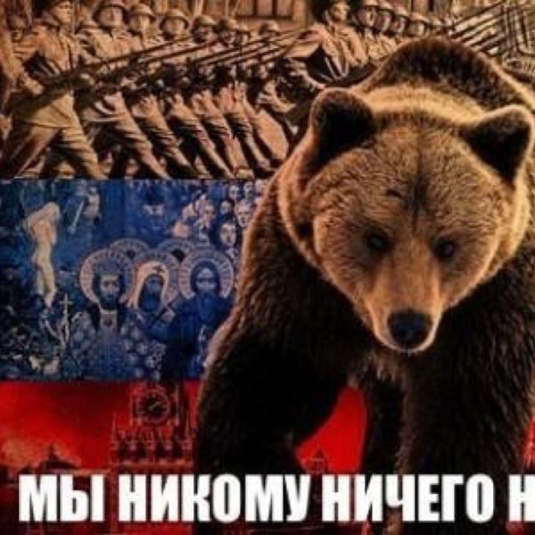 Дразнят русского медведя
