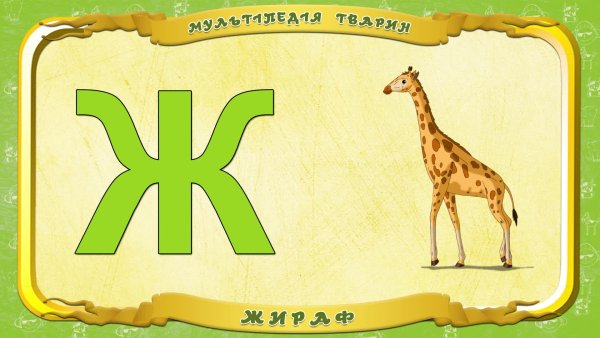 Животное на букву ж