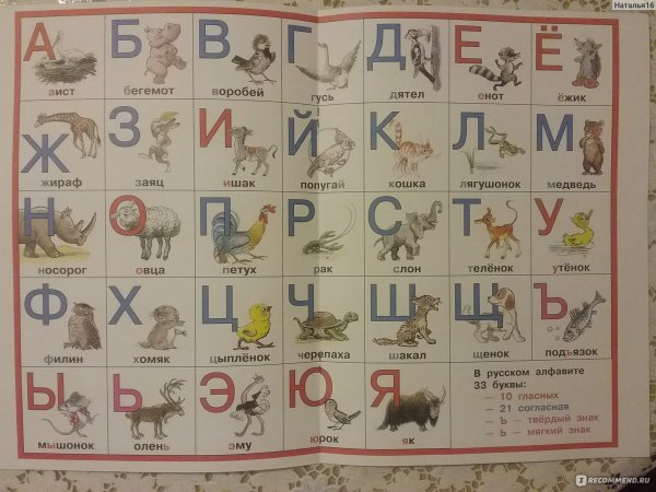 Азбука животных