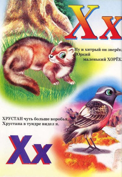 Загадка про букву х