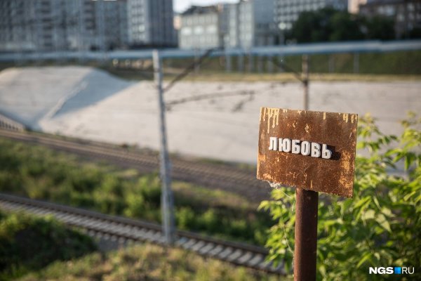 Лепестки роз