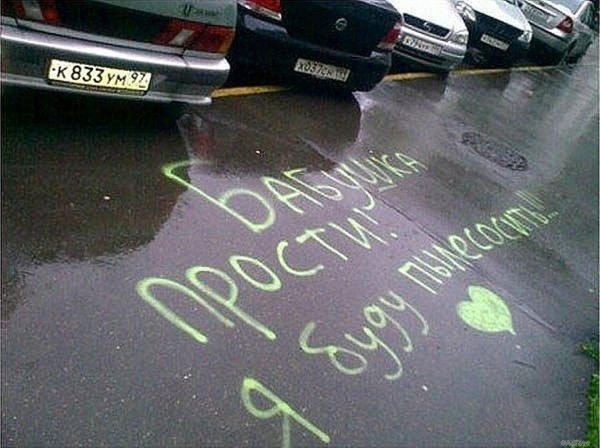 Красивые ромашки