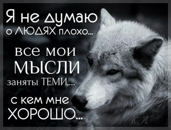 Цитаты волка