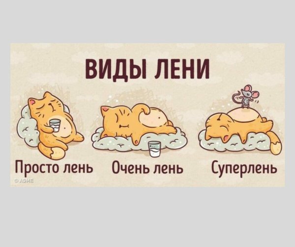 День лени