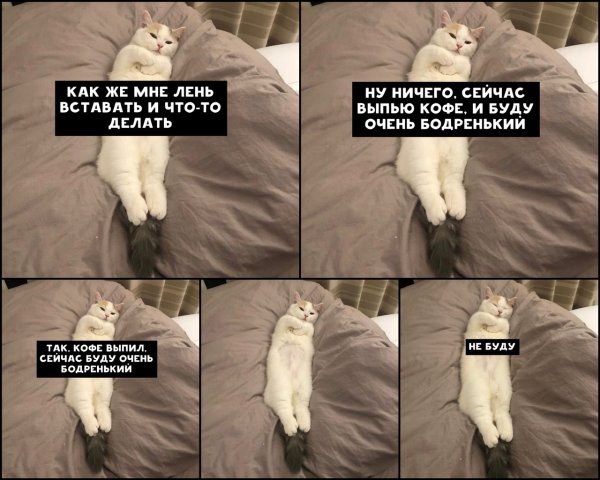 Взросление Мем