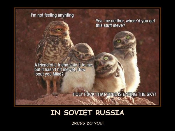 Утро Совы планерка