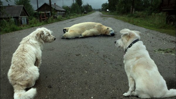 У попа была собака