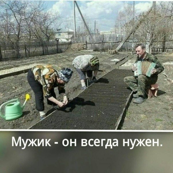 Равноправие полов