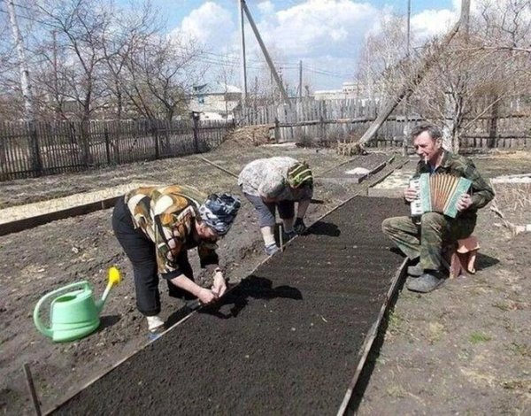 Карикатуры на женщин