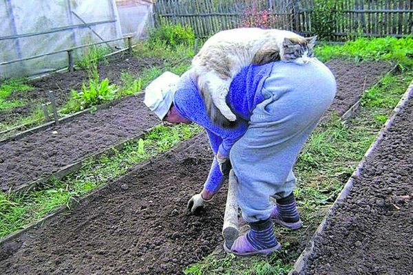 Вот у нее проблемы