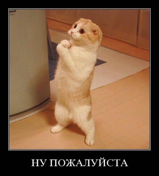 Прости мой Повелитель