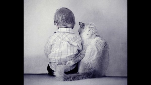 Мальчик обнимает кота