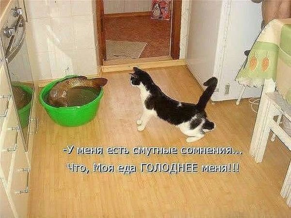 Алекс Мадагаскар пидорас