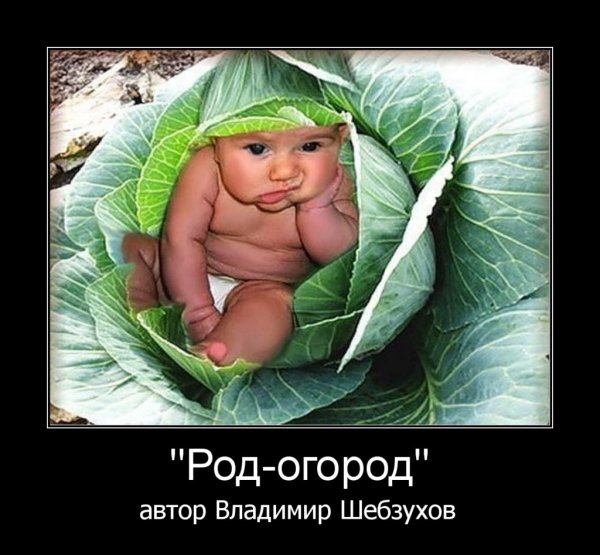 Малыш в капусте