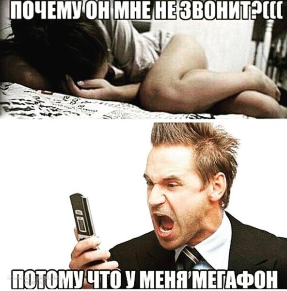 Почему смешная картинка