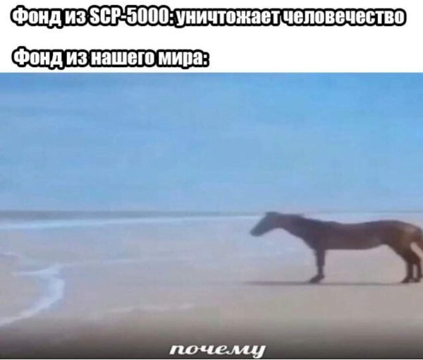 Анджелина Джоли Мем