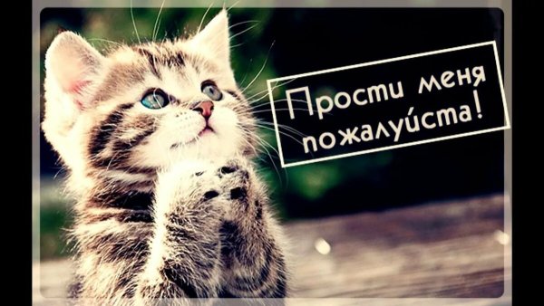 Прости пожалуйста