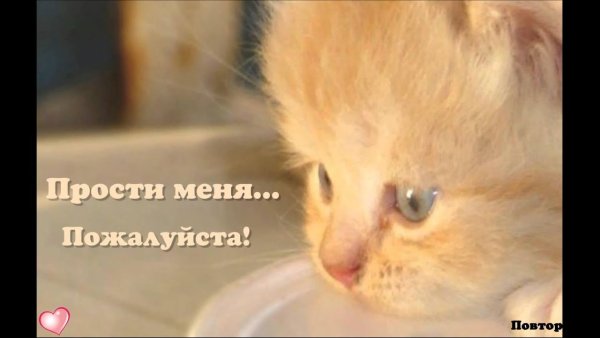 Открытка "прости"