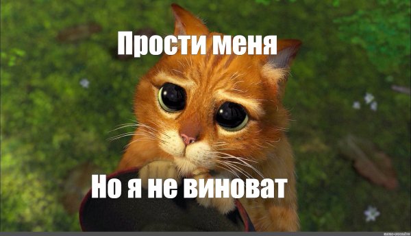 Надпись im sorry