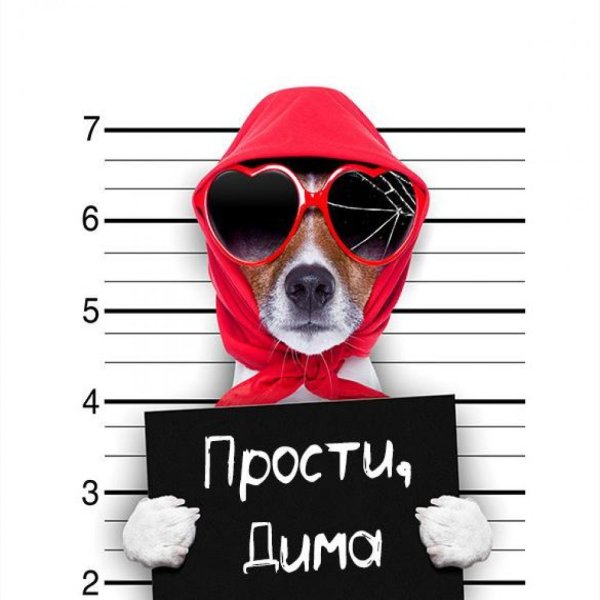 Извинения на асфальте