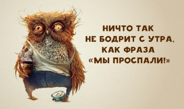 Работа дала мне многое