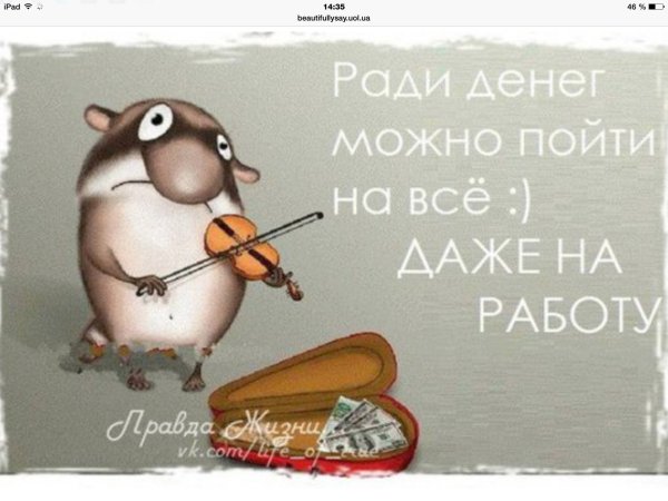 Смешные высказывания о работе для поднятия настроения