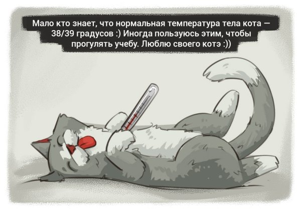 Кот заболел прикол