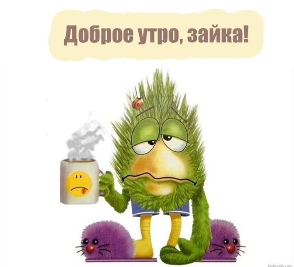 Смешные пожелания доброго утра