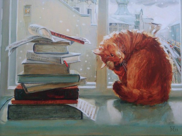 Коты книги новый год